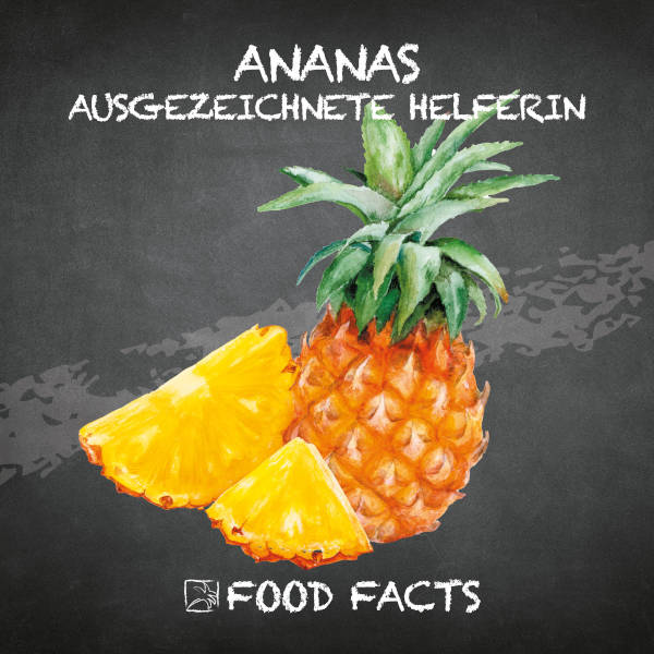 Ananas Food Fact 