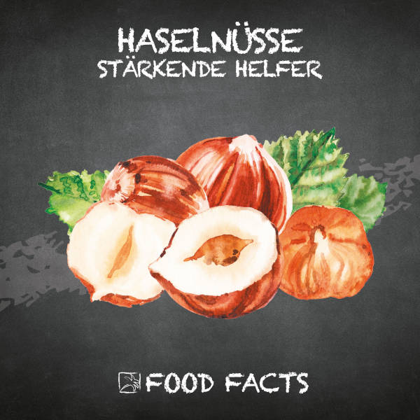 Haselnüsse Food Fact 