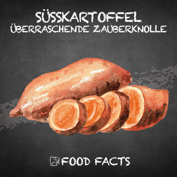 Süßkartoffeln Food Fact