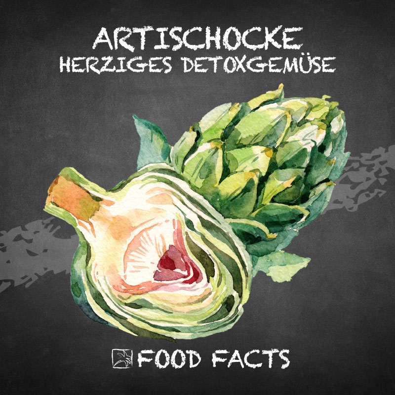 Artischocke Food Fact
