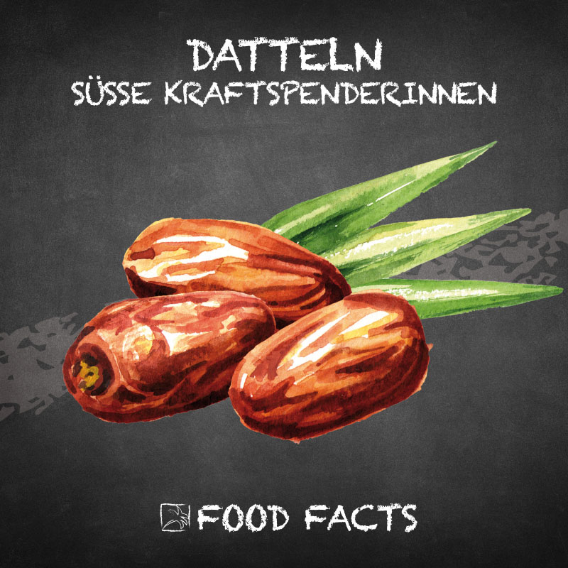 Datteln Food Fact 