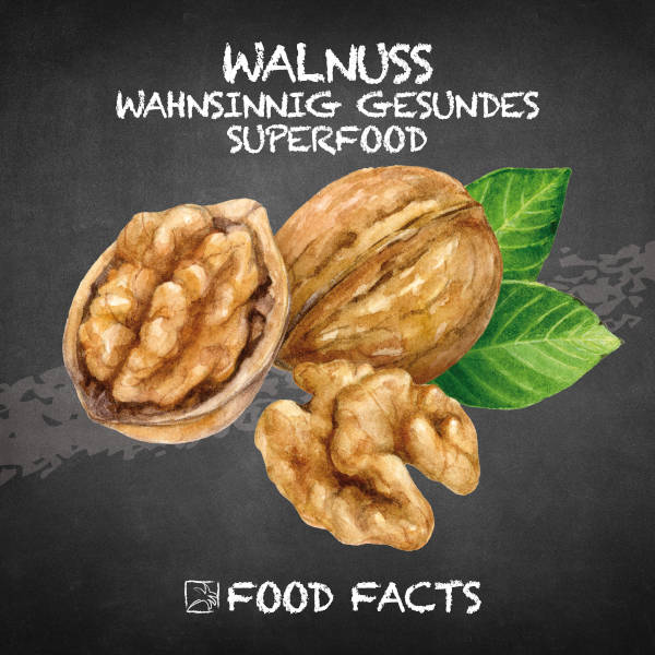 Walnuss Food Fact 