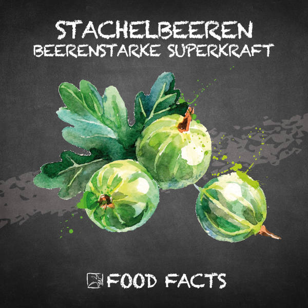 Stachelbeere Food Fact 