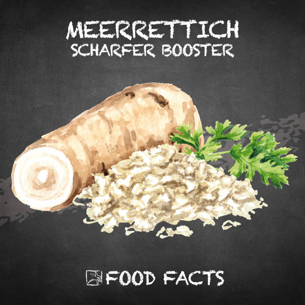 Meerrettich Food Fact