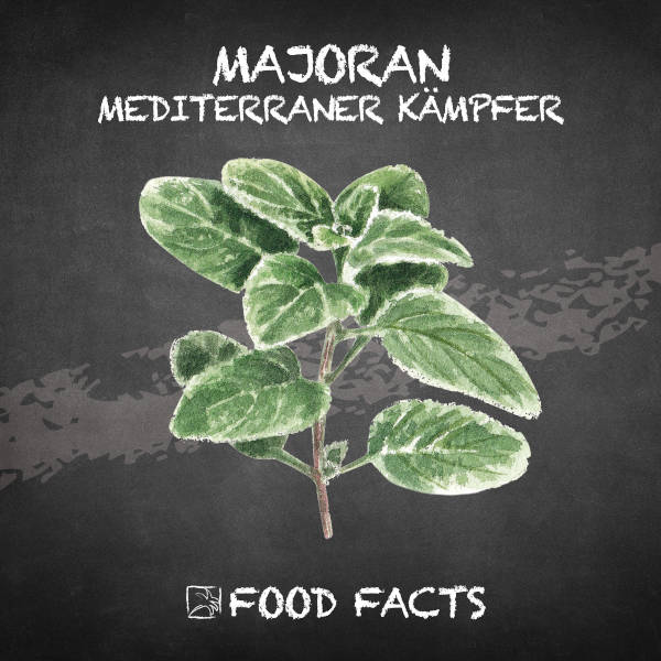 Majoran Food Fact