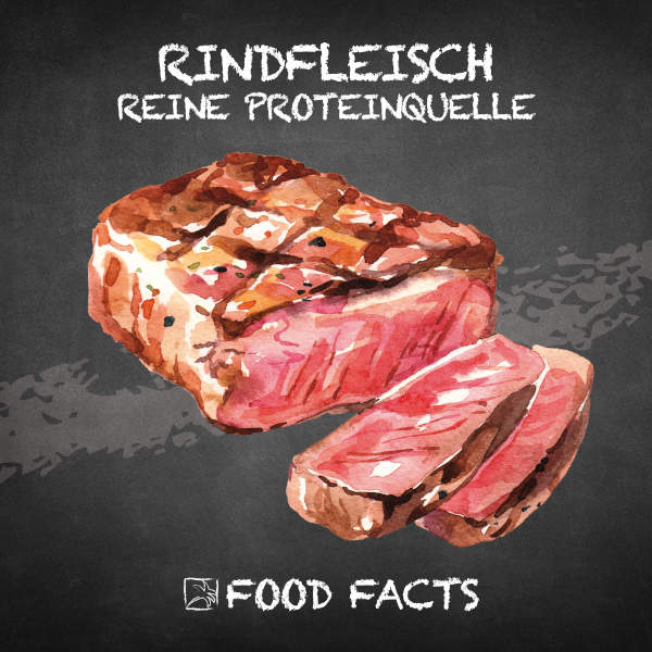 Rindfleisch Food Fact