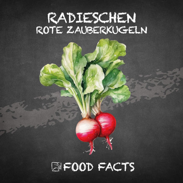 Radieschen Food Fact