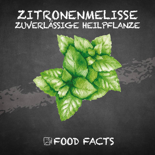 Zitronenmelisse Food Fact
