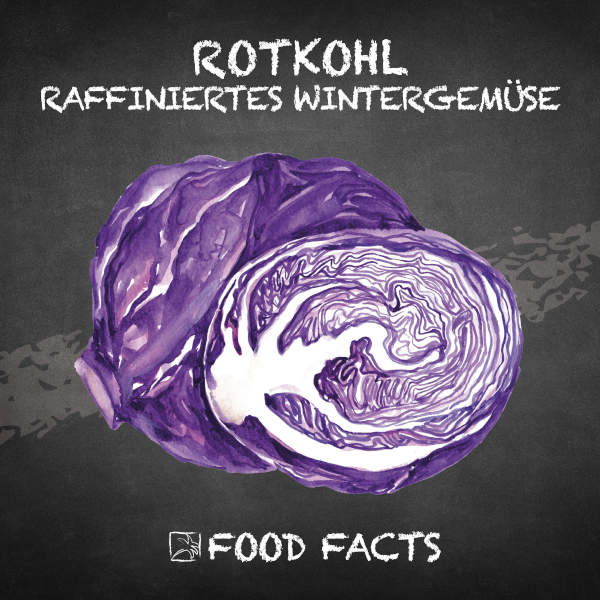 Rotkohl Food Fact