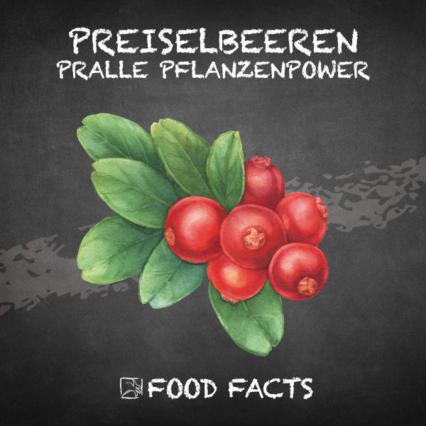 Preiselbeeren Food Fact 