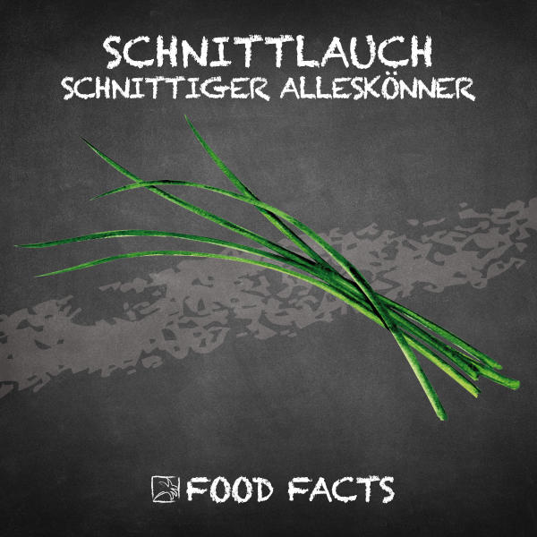 Schnittlauch Food Fact
