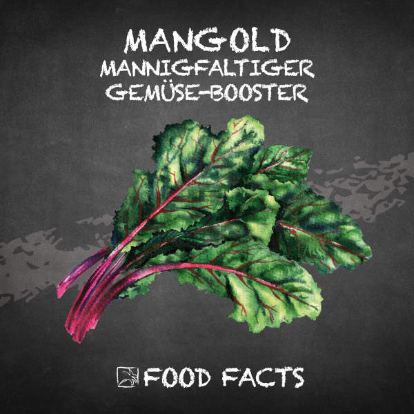 Mangold Food Fact