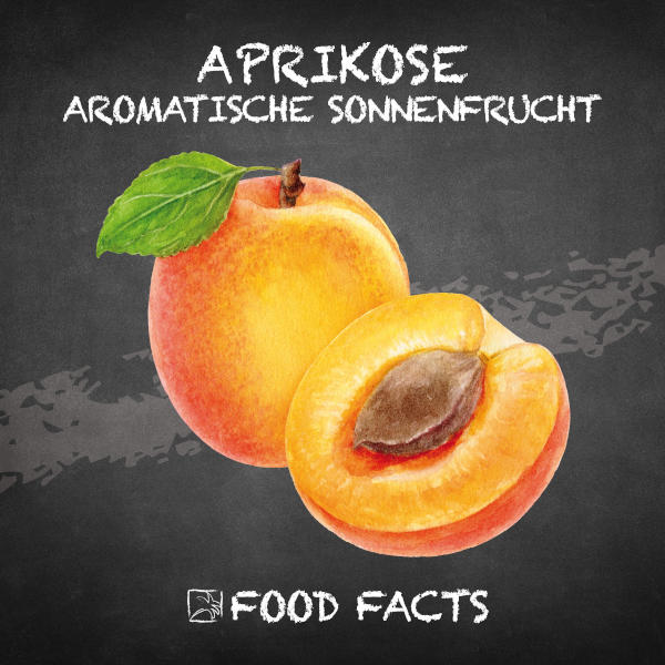 Aprikose Food Fact 