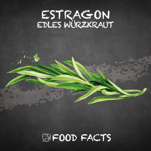 Estragon Food Fact