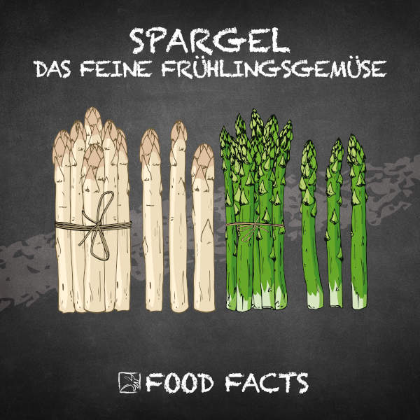 Spargel Food Fact