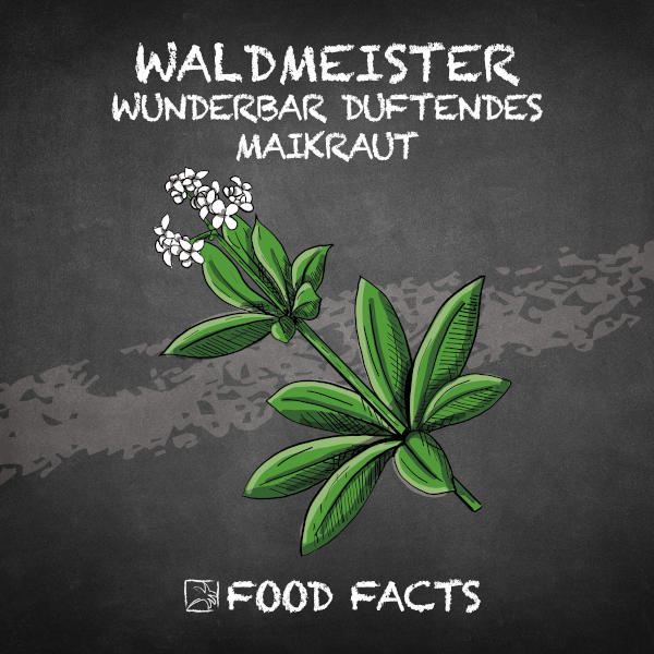 Waldmeister Food Fact