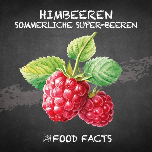 Himbeere Food Fact 