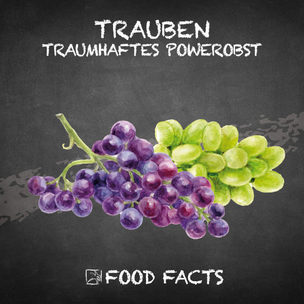 Trauben Food Fact 