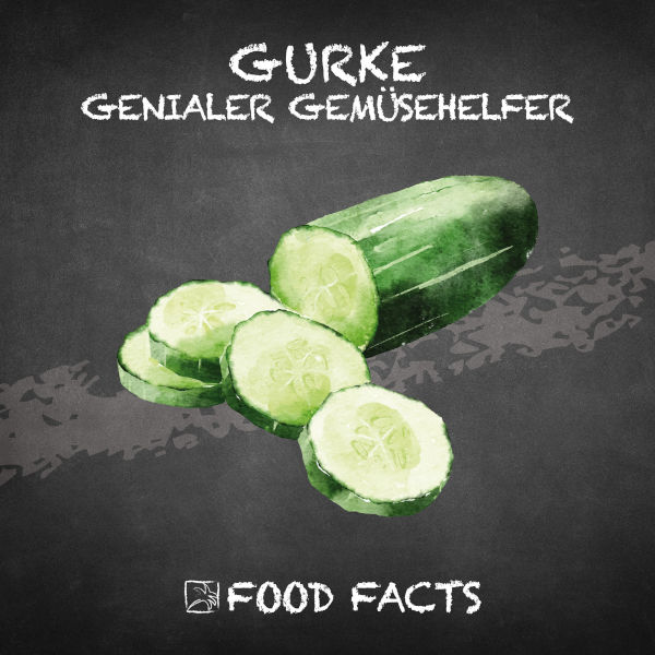 Gurke Food Fact