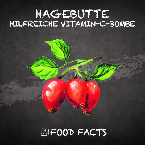 Hagebutte Food Fact 