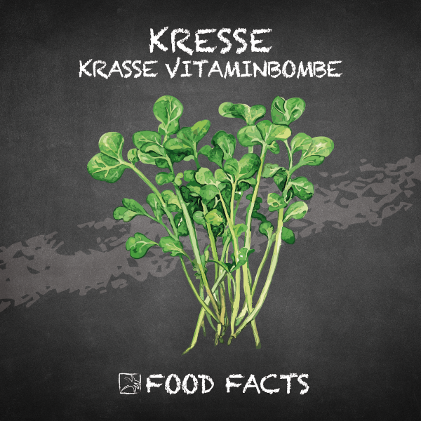 Kresse Food Fact