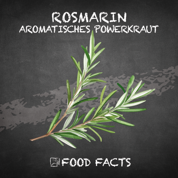 Rosmarin Food Fact