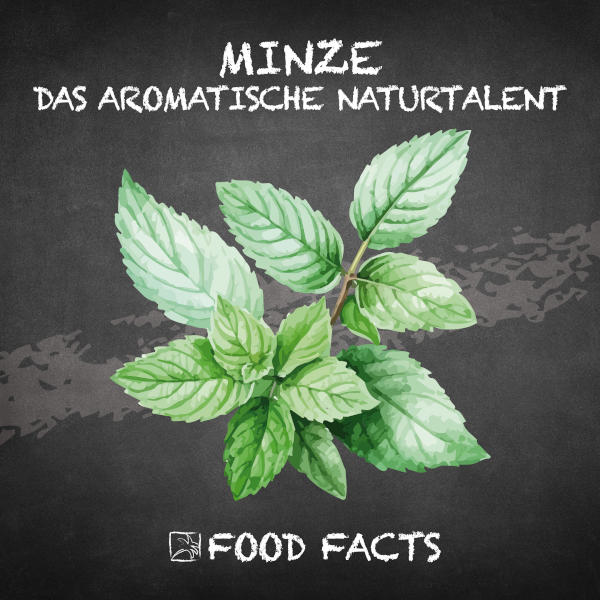 Minze Food Fact