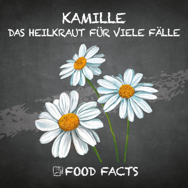 Kamille Food Fact