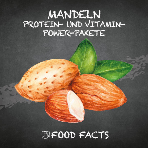 Mandeln Food Fact 