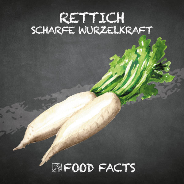 Rettich Food Fact
