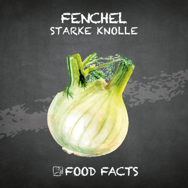 Fenchel Food Fact