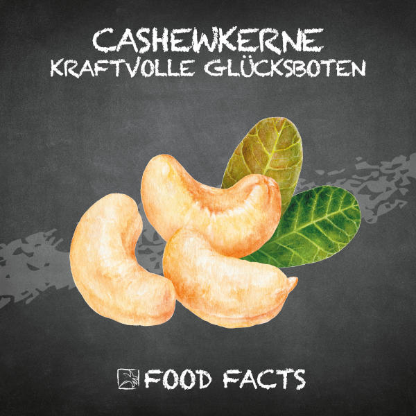 Cashewkerne Food Fact 