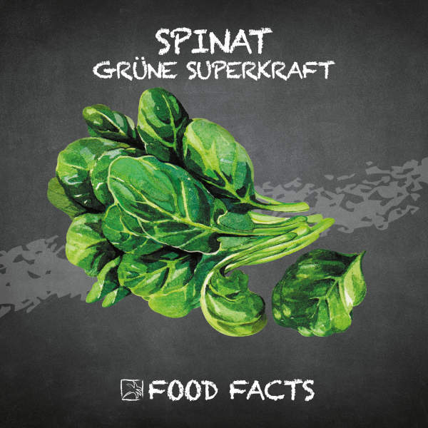 Spinat Food Fact
