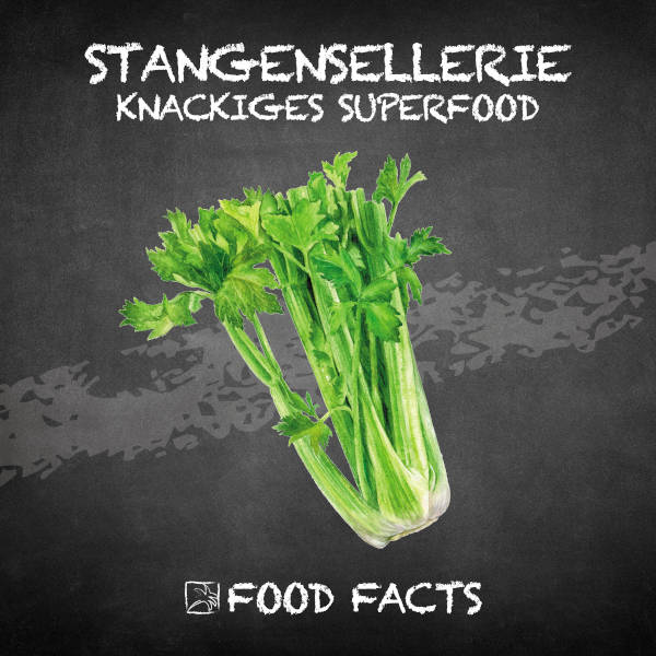 Stangensellerie Food Fact