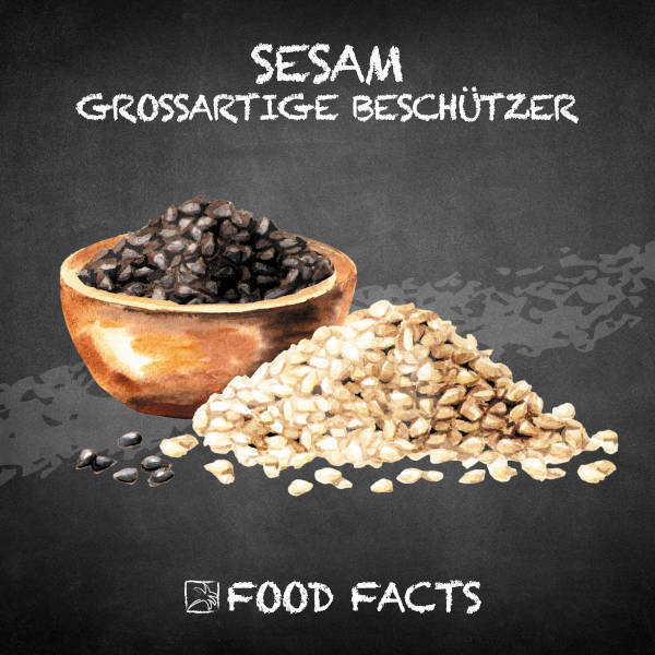 Sesam Food Fact 