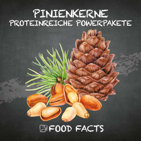Pinienkerne Food Fact 