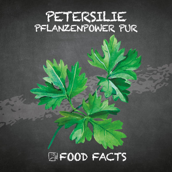 Petersilie Food Fact