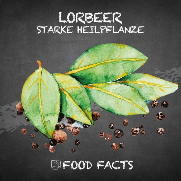 Lorbeer Food Fact