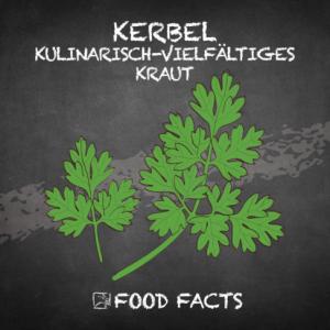 Gewürz – Kerbel Thumbnail