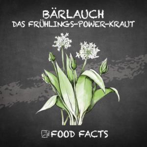 Gewürz – Bärlauch Thumbnail