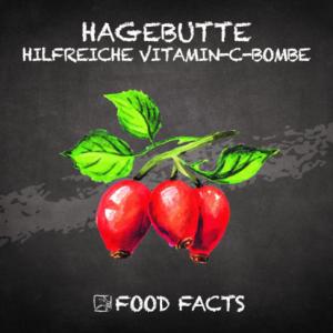 Früchte – Hagebutte Thumbnail