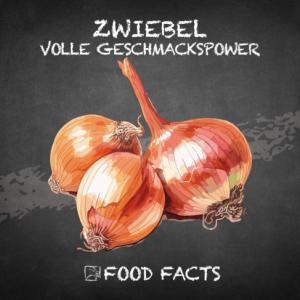 Gemüse – Zwiebel Thumbnail
