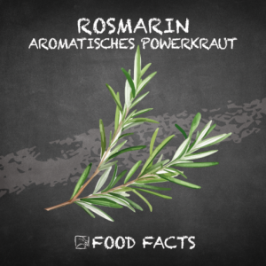 Gewürz – Rosmarin Thumbnail