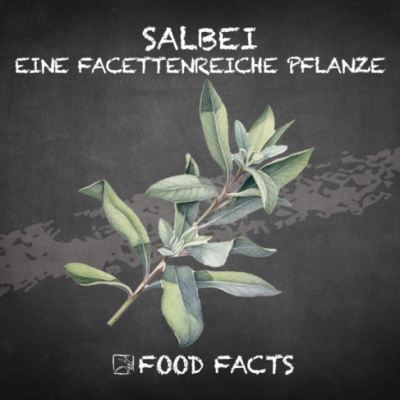Gewürz – Salbei Thumbnail