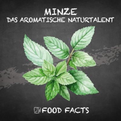 Gewürz – Minze Thumbnail