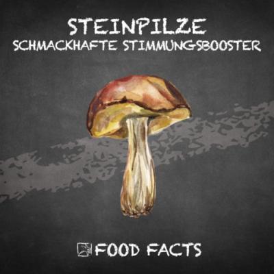 Gemüse – Steinpilze Thumbnail