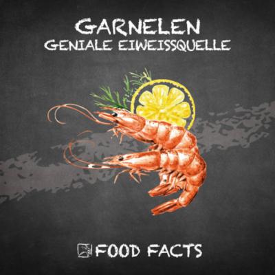 Fisch – Garnelen Thumbnail