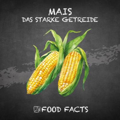 Getreide – Mais Thumbnail