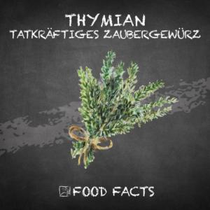 Gewürz – Thymian Thumbnail