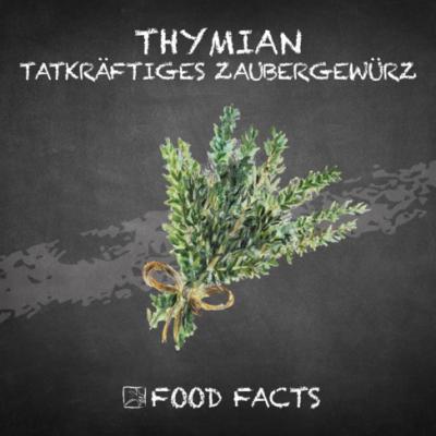 Gewürz – Thymian Thumbnail